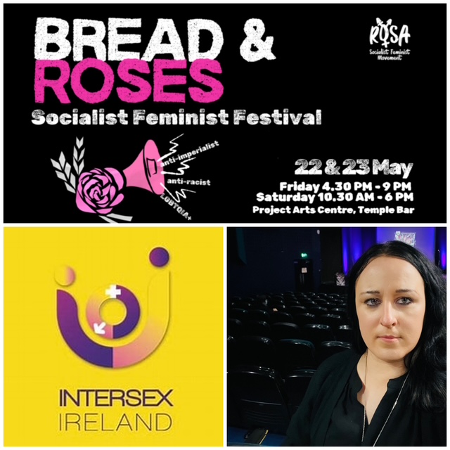 Beyond the Binary: Speaking at Bread & Roses 2026